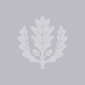 Decorative image of UConn oak leaf.